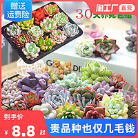 五月花語 自選花束，傳遞浪漫心意